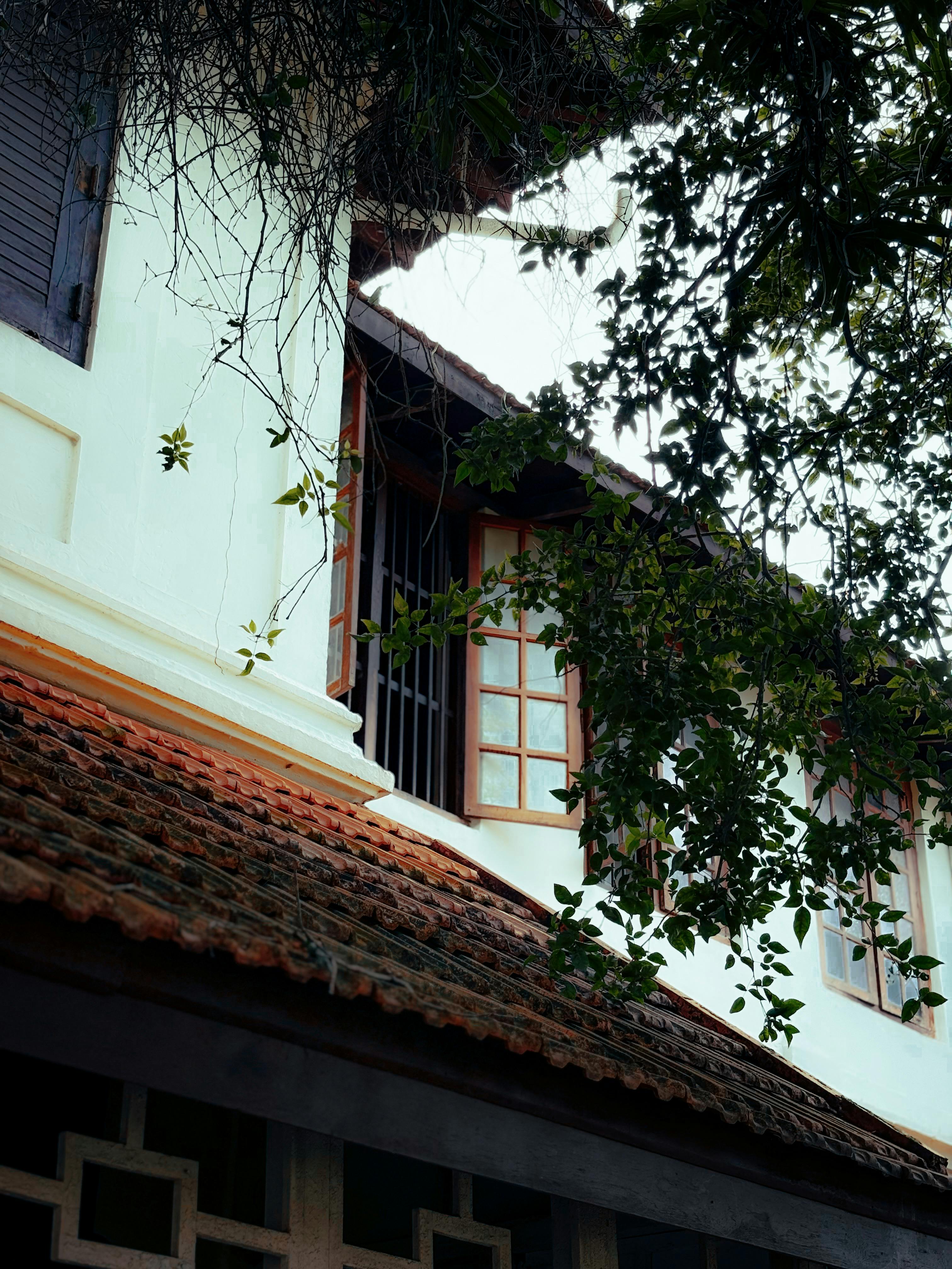 Heritage building renovation